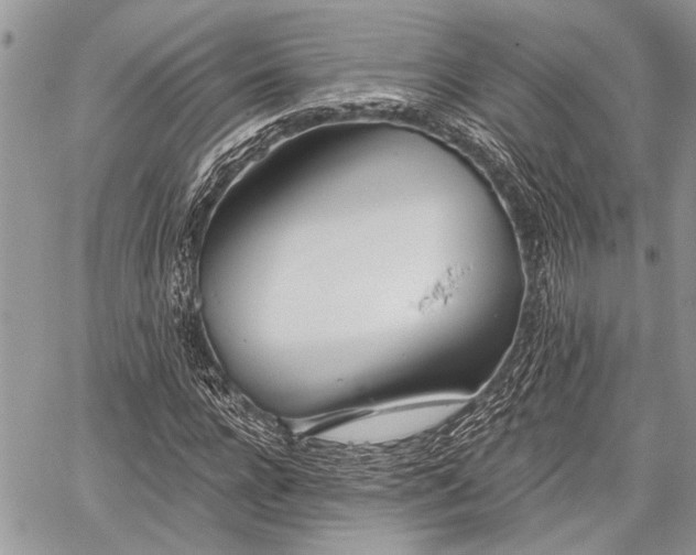 X0000059820920200510241352