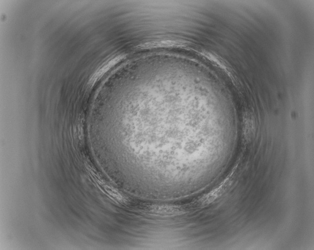 X0000059820921200510241352