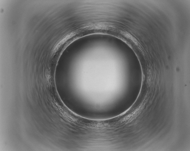 X0000059820922200510241352