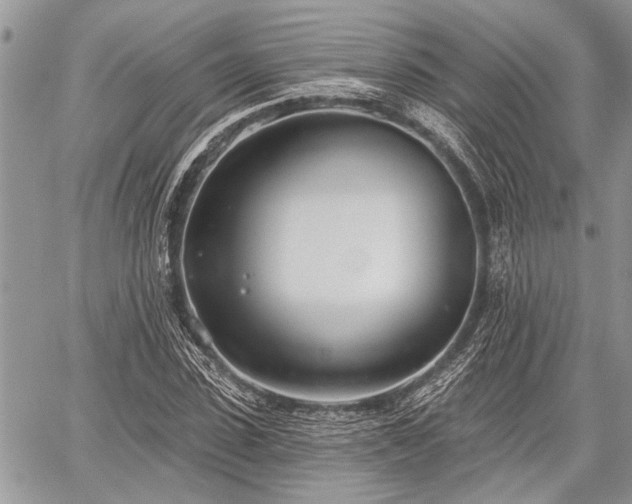 X0000059820923200510241352