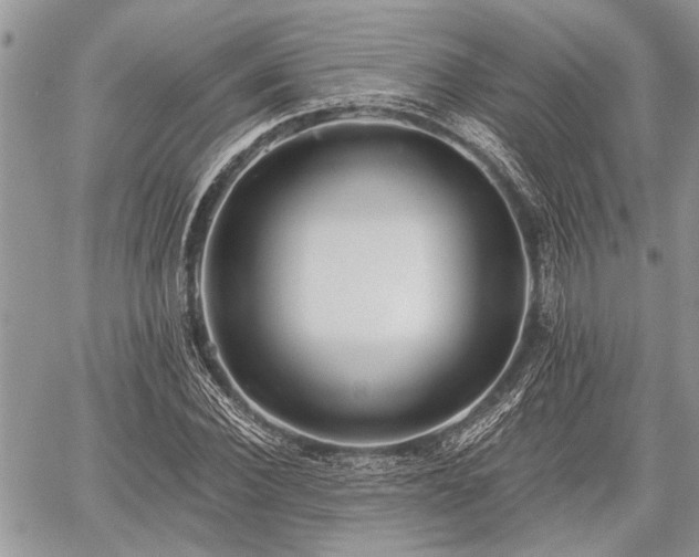 X0000059820924200510241352