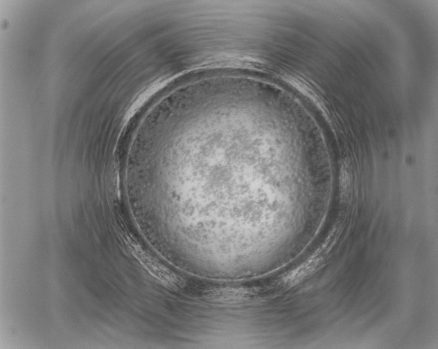 X0000059820925200510241352