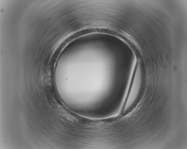 X0000059820926200510241352