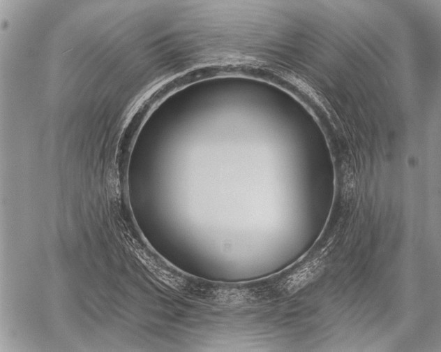 X0000059820927200510241352