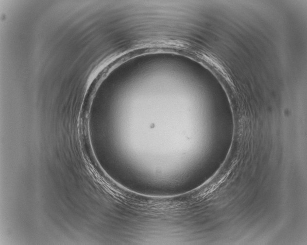 X0000059820928200510241352