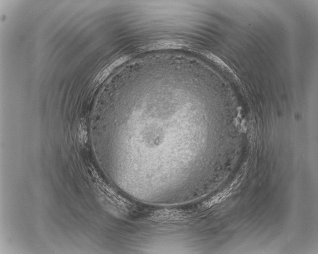 X0000059820929200510241352