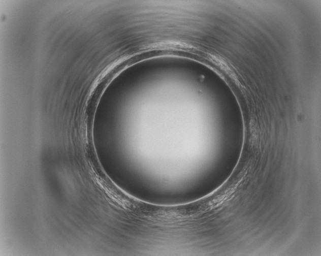 X0000059820931200510241352