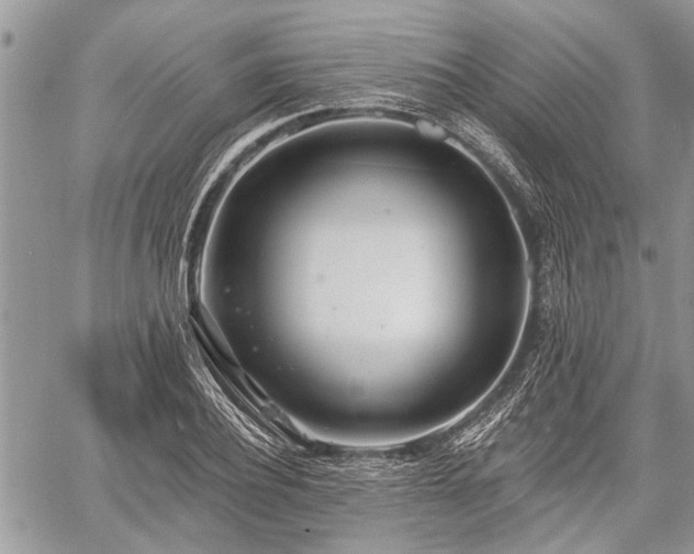 X0000059820932200510241352