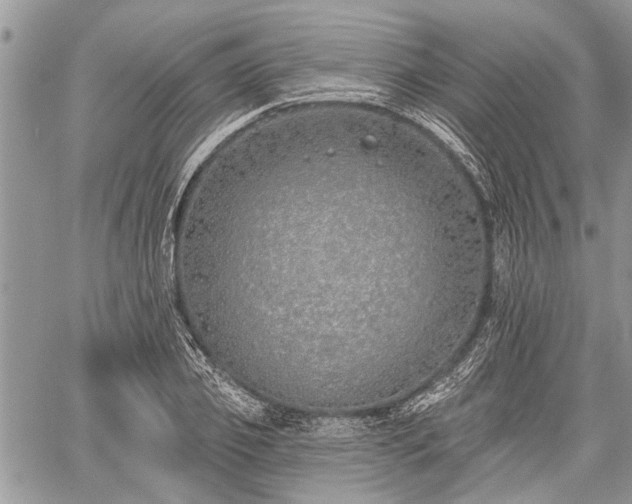 X0000059820933200510241352