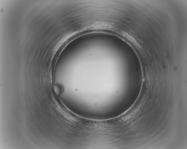 X0000059820934200510241352