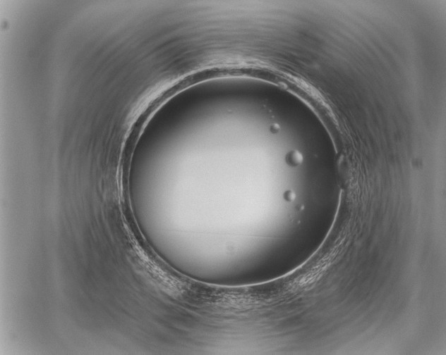 X0000059820935200510241352