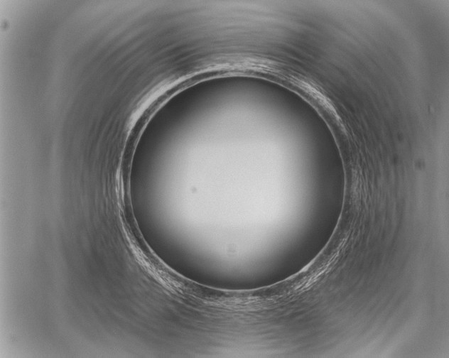 X0000059820936200510241352