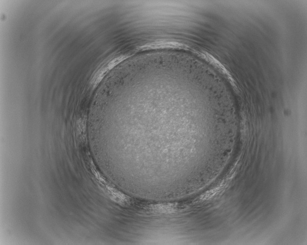 X0000059820937200510241352