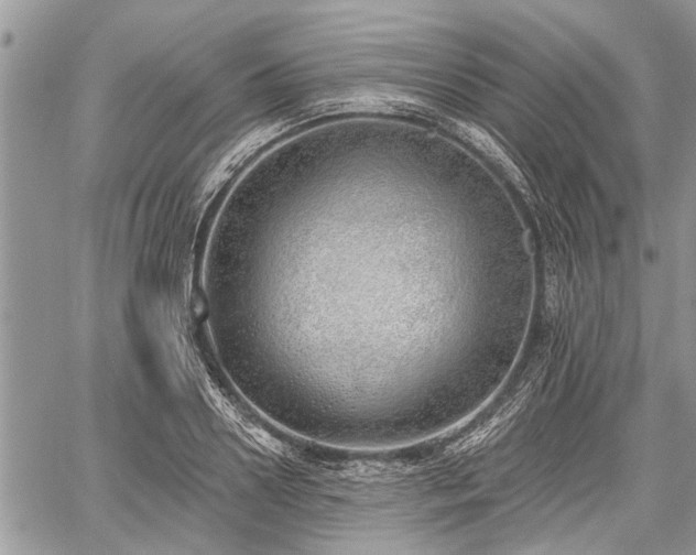 X0000059820938200510241352