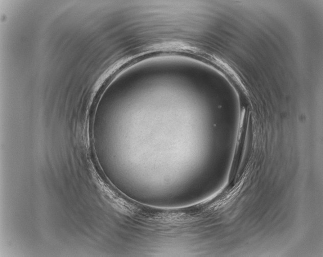 X0000059820939200510241352