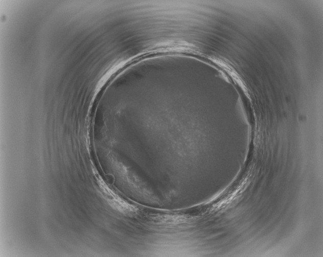 X0000059820941200510241352