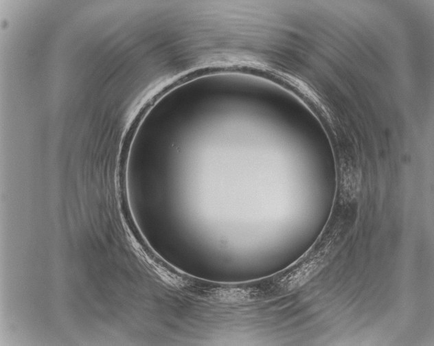 X0000059820943200510241352