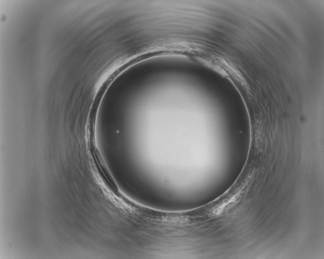 X0000059820944200510241352