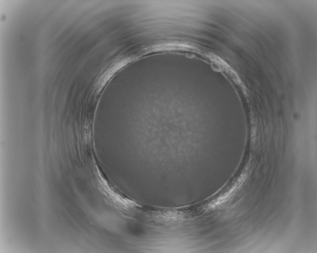 X0000059820945200510241352