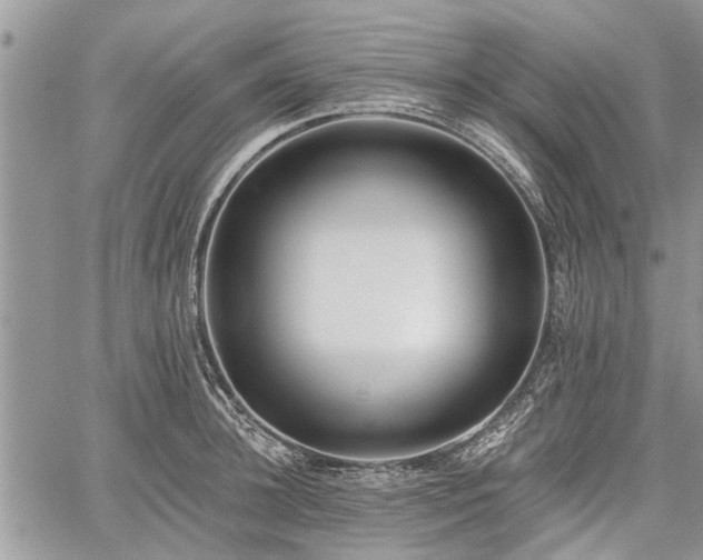 X0000059820948200510241352