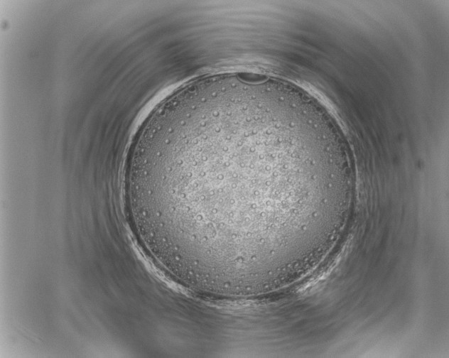 X0000059820949200510241352