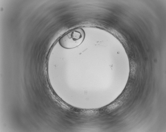 X0000059820950200510241352