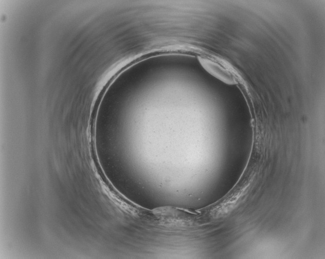 X0000059820951200510241352