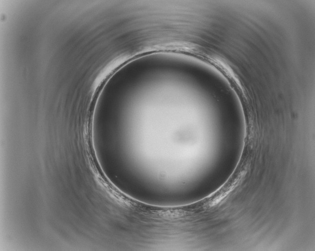 X0000059820952200510241352