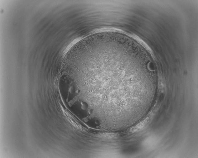 X0000059820953200510241352