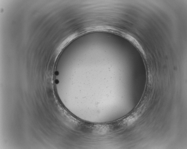 X0000059820954200510241352