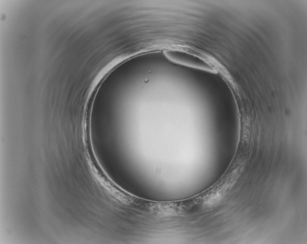 X0000059820955200510241352