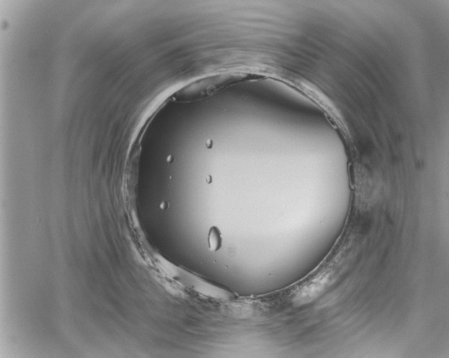 X0000059820956200510241352