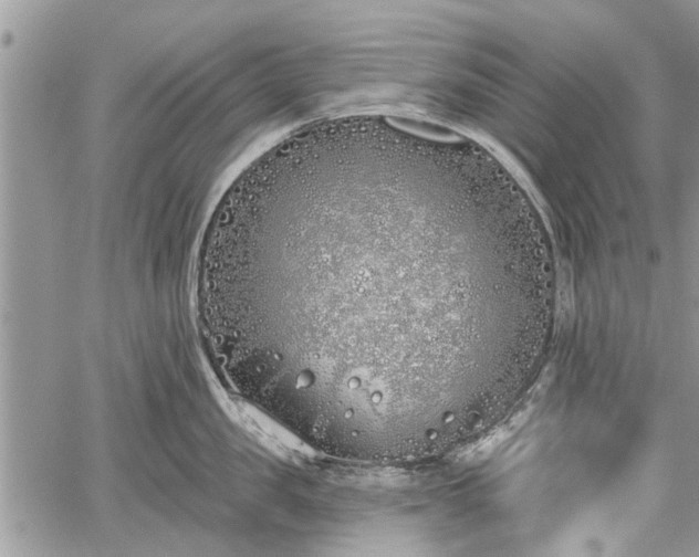 X0000059820957200510241352