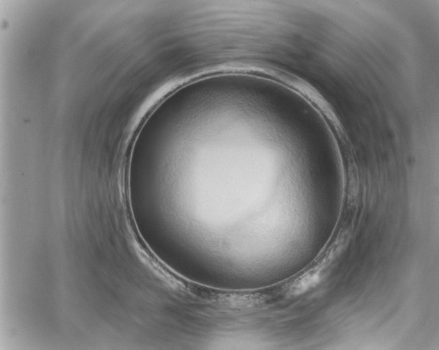 X0000059820958200510241352