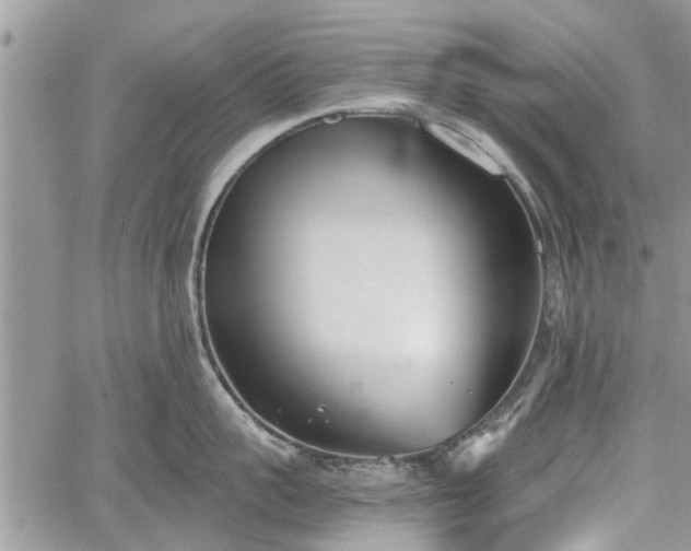 X0000059820959200510241352