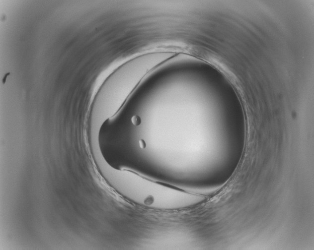 X0000059820960200510241352