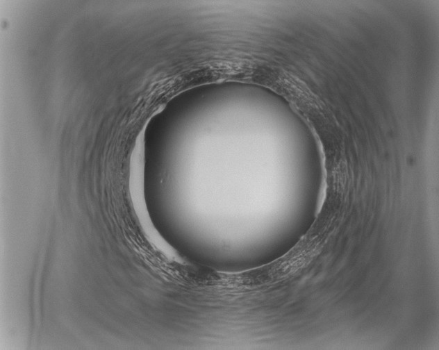 X0000059820961200510241351