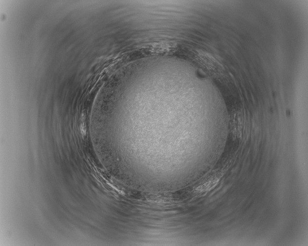 X0000059820962200510241351