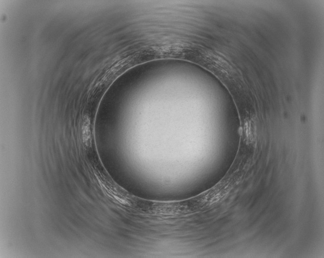 X0000059820963200510241351