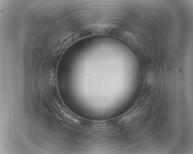 X0000059820964200510241351