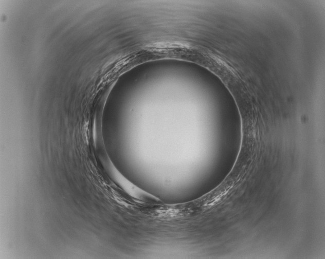 X0000059820965200510241351