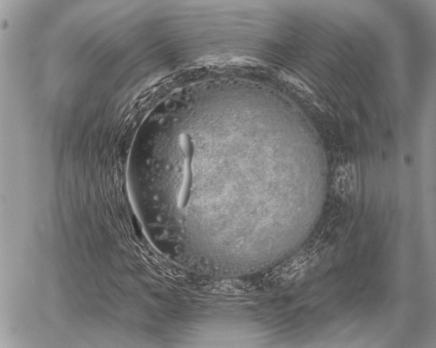 X0000059820966200510241351