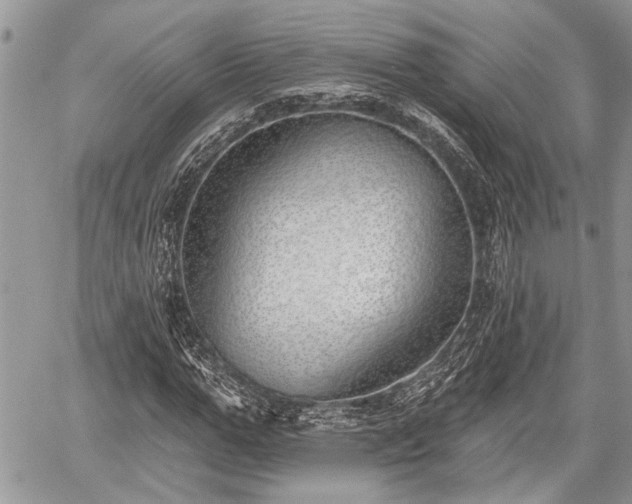 X0000059820967200510241351