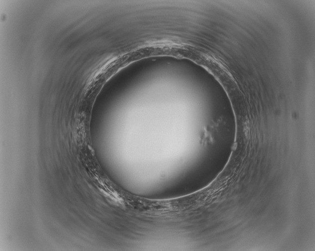 X0000059820968200510241351