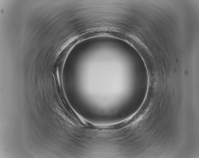 X0000059820969200510241351