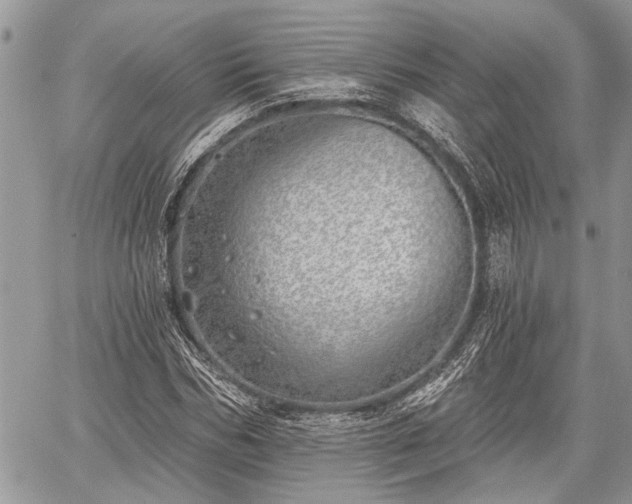 X0000059820970200510241351