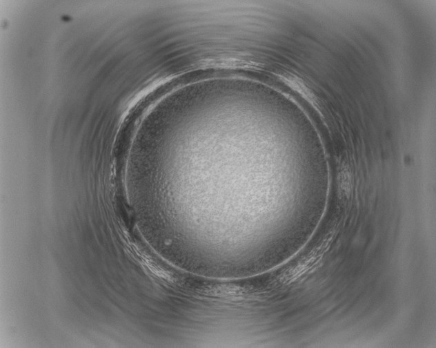 X0000059820971200510241351