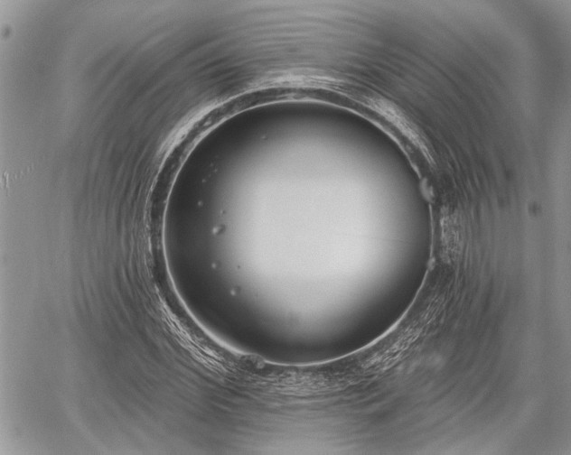 X0000059820972200510241351