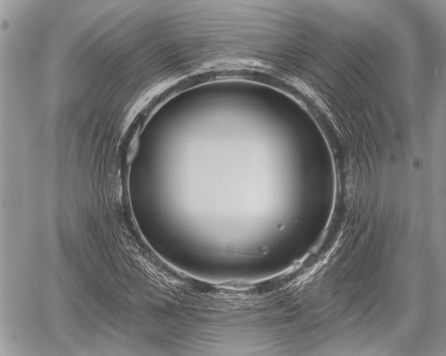 X0000059820973200510241351