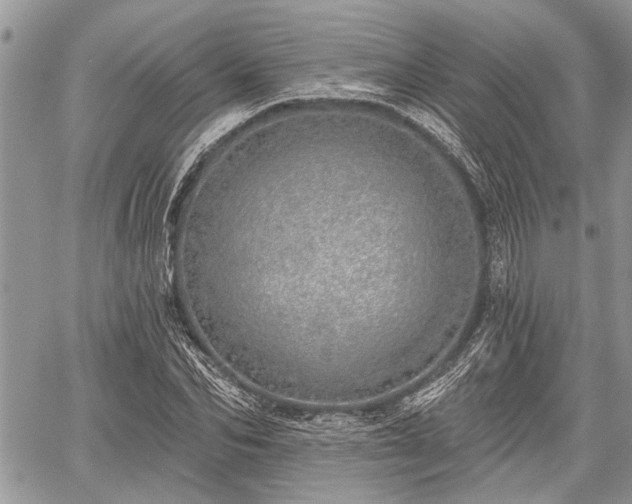 X0000059820974200510241351